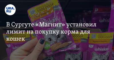 В Сургуте «Магнит» установил лимит на покупку корма для кошек - ura.news - Сургут - Югра