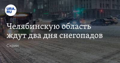 Челябинскую область ждут два дня снегопадов. Скрин