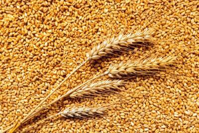 С 15 марта введен запрет на вывоз зерновых культур за пределы Российской Федерации