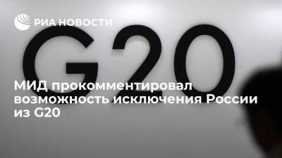 Мария Захарова - Збигнев Рау - МИД: бессмысленно комментировать гипотетические заявления об исключении России из G20 - ria - Москва - Россия - ДНР - Польша - ЛНР
