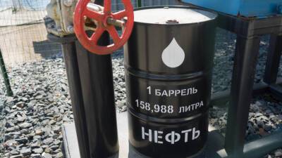 СМИ: Индия может купить 15 миллионов баррелей российской нефти