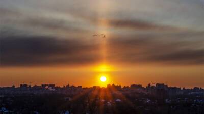 Воронежцы показали необычное явление в розовом небе над городом