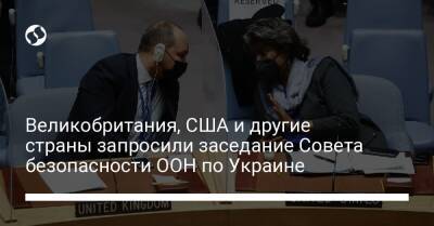 Великобритания, США и другие страны запросили заседание Совета безопасности ООН по Украине