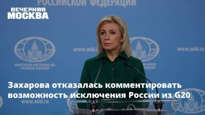 Мария Захарова - Збигнев Рау - Захарова отказалась комментировать возможность исключения России из G20 - vm.ru - Россия - Польша - Европа