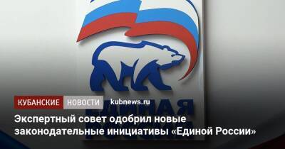 Экспертный совет одобрил новые законодательные инициативы «Единой России»