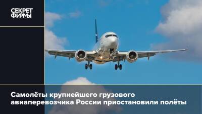 Самолёты крупнейшего грузового авиаперевозчика России приостановили полёты