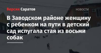 В Заводском районе женщину с ребенком на пути в детский сад испугала стая из восьми собак - nversia.ru - Саратов - Саратова