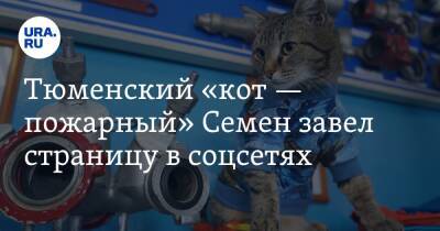 Тюменский «кот — пожарный» Семен завел страницу в соцсетях