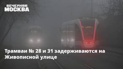 Трамваи № 28 и 31 задерживаются на Живописной улице