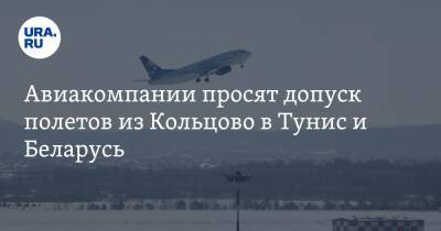 Авиакомпании просят допуск полетов из Кольцово в Тунис и Беларусь