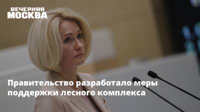 Виктория Абрамченко - Викторий Абрамченко - Правительство разработало меры поддержки лесного комплекса - vm.ru - Россия