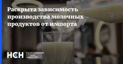 Раскрыта зависимость производства молочных продуктов от импорта - nsn.fm - Россия