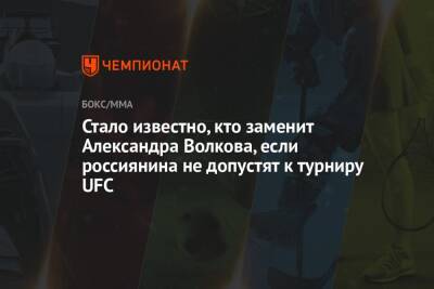 Стало известно, кто заменит Александра Волкова, если россиянина не допустят к турниру UFC
