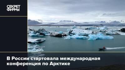 В России стартовала международная конференция по Арктике