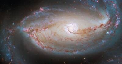 Космический глаз. Ученые получили удивительный снимок галактики из созвездия Печь (фото)