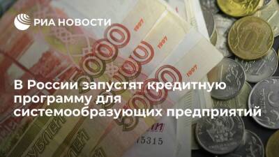 На кредитную программу для системообразующих предприятий выделят 40 миллиардов рублей