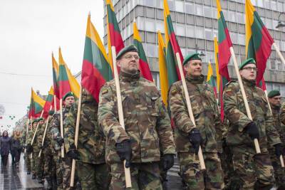 Сейм Литвы увеличил оборонные ассигнования до 2,52% от ВВП