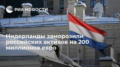 Объем российских активов, замороженных властями Нидерландов, вырос до 200 миллионов евро