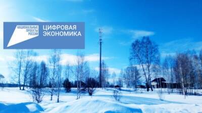 С начала 2022 года в рамках госпрограммы в Пермском крае свыше семи тысяч жителей обеспечены сотовой связью