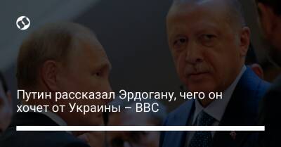 Путин рассказал Эрдогану, чего он хочет от Украины – BBC