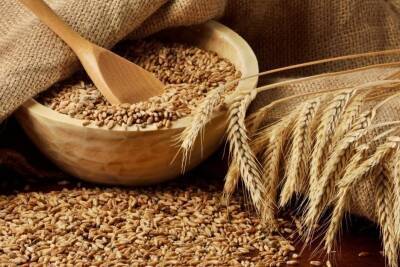 Пшеницы хватит на 2 года — министр рассказал о запасах продуктов