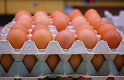 В России яйца могут подорожать еще на 40%