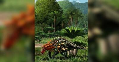 Бронированные динозавры. В Китае нашли новый вид рептилий из юрского периода