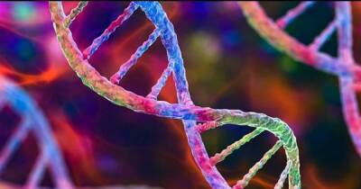 Создана РНК, которая эволюционирует сама по себе: так могла появиться жизнь на Земле