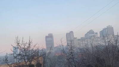 Киев затянуло едким дымом: в МВД сообщили, что произошло