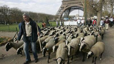 Французских фермеров беспокоят экономические последствия войны