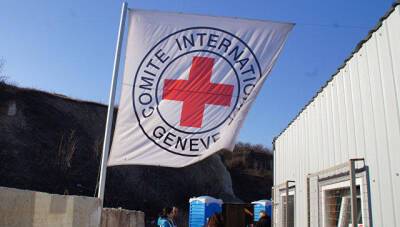 Красный Крест готовит многомиллионную помощь Украине