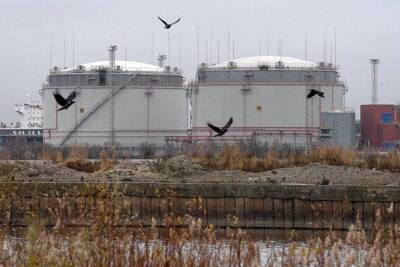 Бензин дешевеет на бирже в России из-за роста ставок по кредитам - "Петролеум Трейдинг"