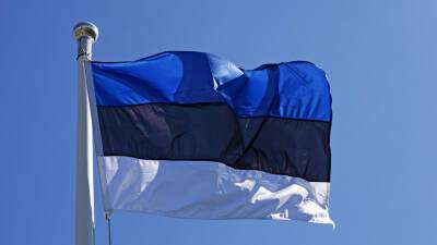 Власти Эстонии не планируют закрывать наземную границу с Россией