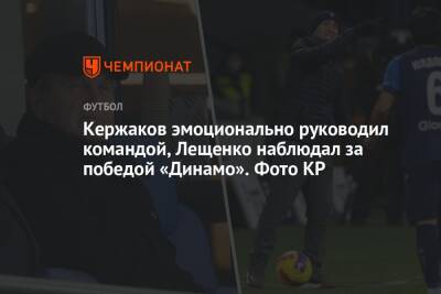 Кержаков эмоционально руководил командой, Лещенко наблюдал за победой «Динамо». Фото КР