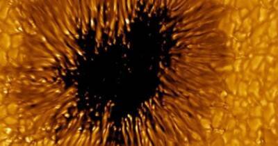 Астрономы обнаружили на Солнце пятно размером с нашу Землю (фото)