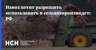 Навоз хотят разрешить использовать в сельхозпроизводстве РФ