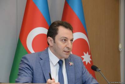 Азербайджан глубоко обеспокоен гуманитарной ситуацией в Украине - замминистра