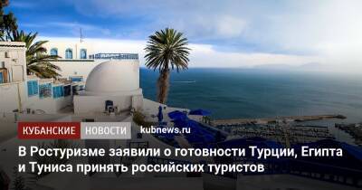 В Ростуризме заявили о готовности Турции, Египта и Туниса принять российских туристов