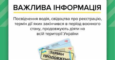 В Украине прекратили регистрацию авто и выдачу водительских прав