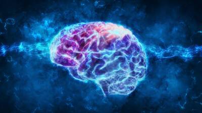 Ученые выяснили, когда мозг человека стирает воспоминания