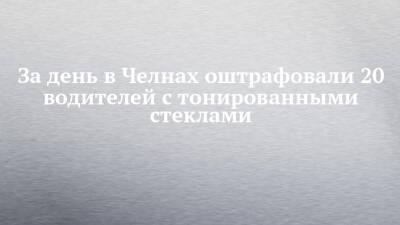 За день в Челнах оштрафовали 20 водителей с тонированными стеклами