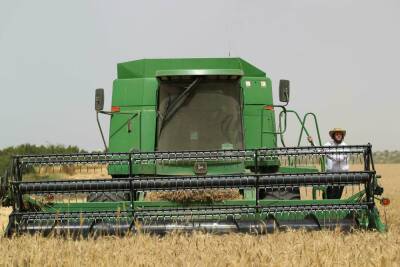 Приготовьте кошельки: цены на пшеницу достигли 14-летнего максимума