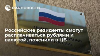 В ЦБ пояснили, что российские резиденты смогут расплачиваться и рублями, и валютой
