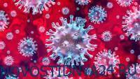 Белки коронавируса отправят на МКС 18 марта