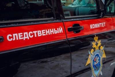 Глава Следкома взял на контроль дело об убийстве матери в Новосибирске