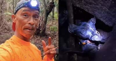 Гаваец спас собаку, которая упала в вулкан и провела там 2 дня