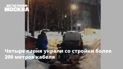 Четыре парня украли со стройки более 200 метров кабеля - vm.ru - Москва - Россия