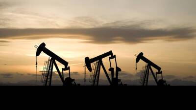 Цена нефти Brent превысила $113