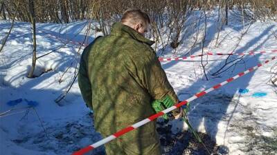 Два обгоревших тела обнаружили в лесополосе на юго-западе Москвы
