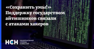 «Сохранить умы!» Поддержку государством айтишников связали с атаками хакеров